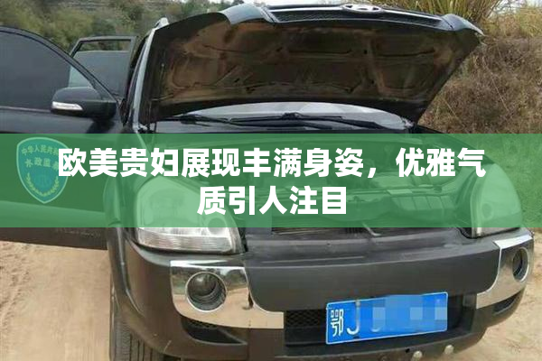 欧美贵妇展现丰满身姿，优雅气质引人注目
