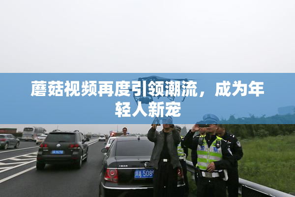 蘑菇视频再度引领潮流，成为年轻人新宠