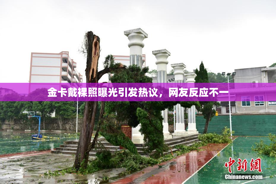 金卡戴裸照曝光引发热议，网友反应不一