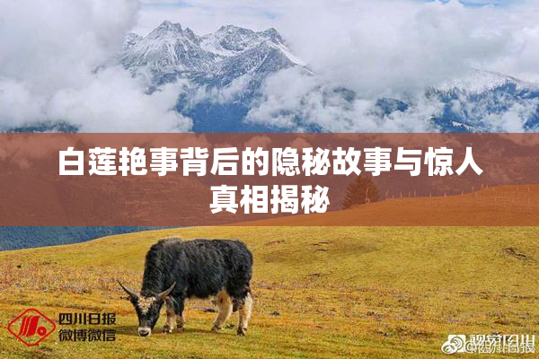 白莲艳事背后的隐秘故事与惊人真相揭秘