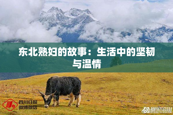 东北熟妇的故事：生活中的坚韧与温情