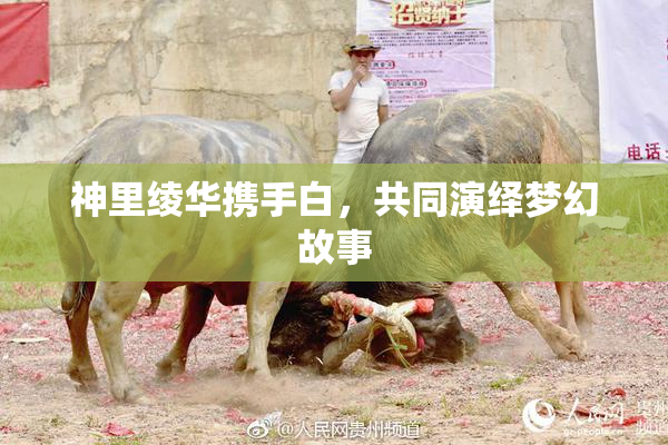 神里绫华携手白，共同演绎梦幻故事