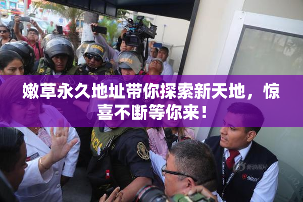 嫩草永久地址带你探索新天地，惊喜不断等你来！