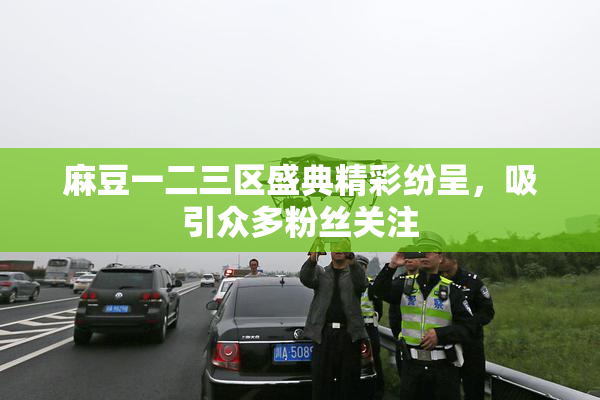麻豆一二三区盛典精彩纷呈，吸引众多粉丝关注