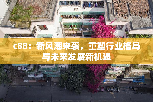 c88：新风潮来袭，重塑行业格局与未来发展新机遇