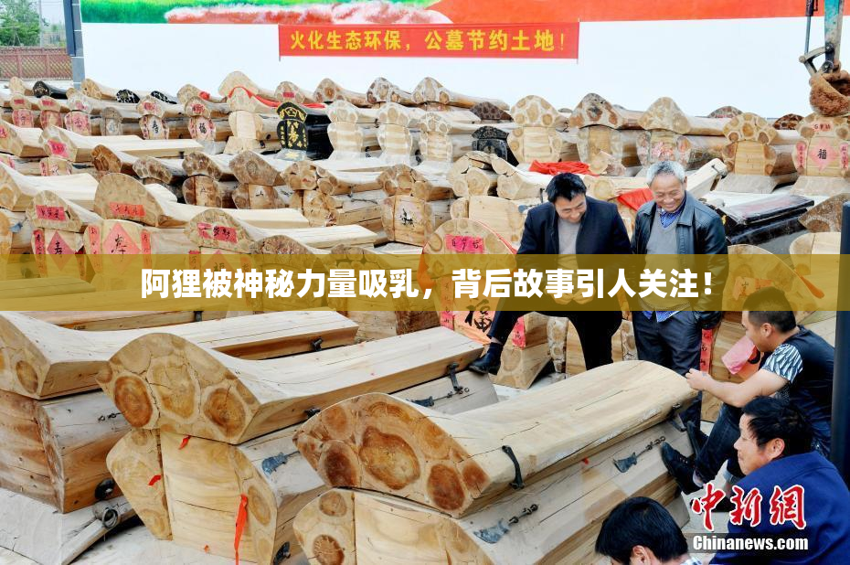 阿狸被神秘力量吸乳，背后故事引人关注！