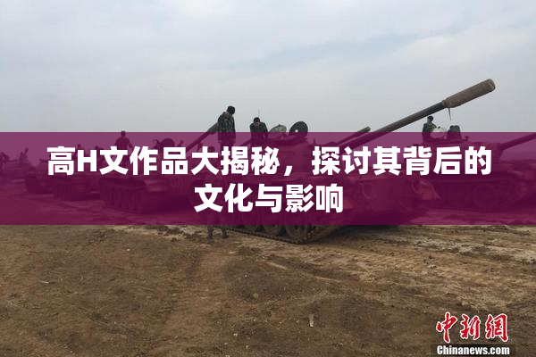 高H文作品大揭秘，探讨其背后的文化与影响