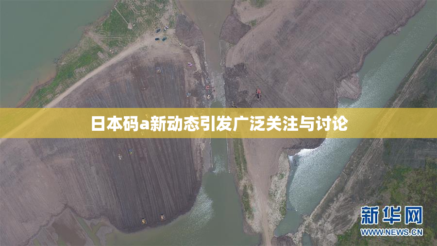 日本码a新动态引发广泛关注与讨论