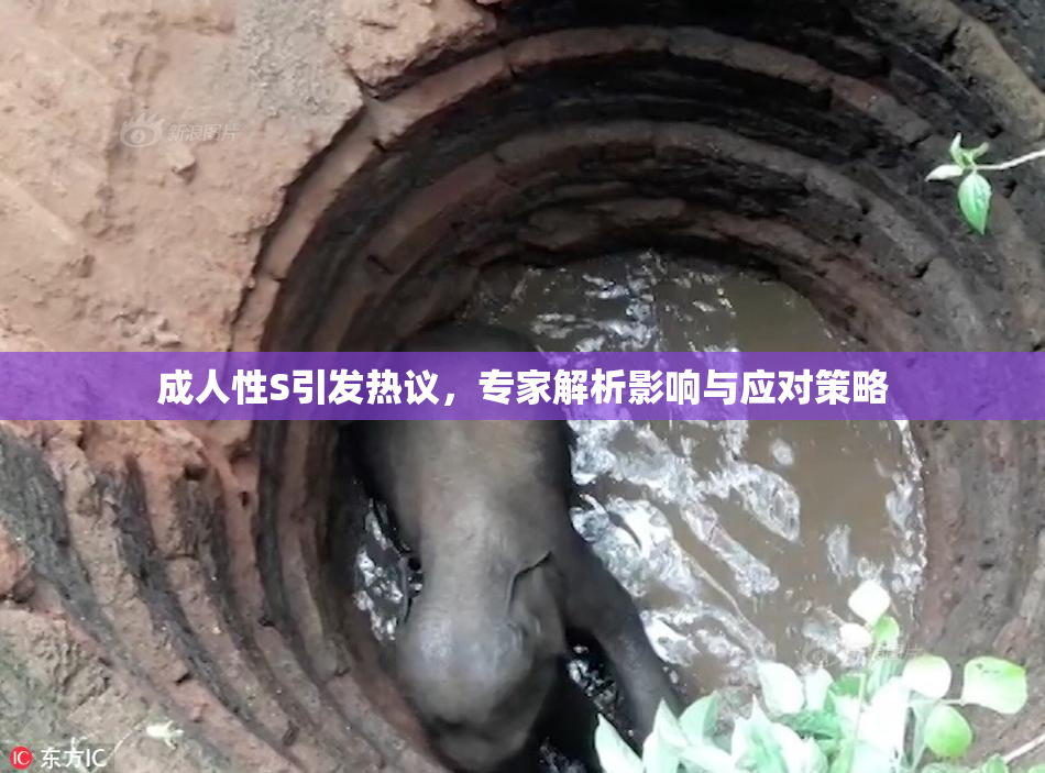 成人性S引发热议，专家解析影响与应对策略
