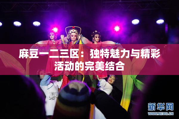 麻豆一二三区：独特魅力与精彩活动的完美结合