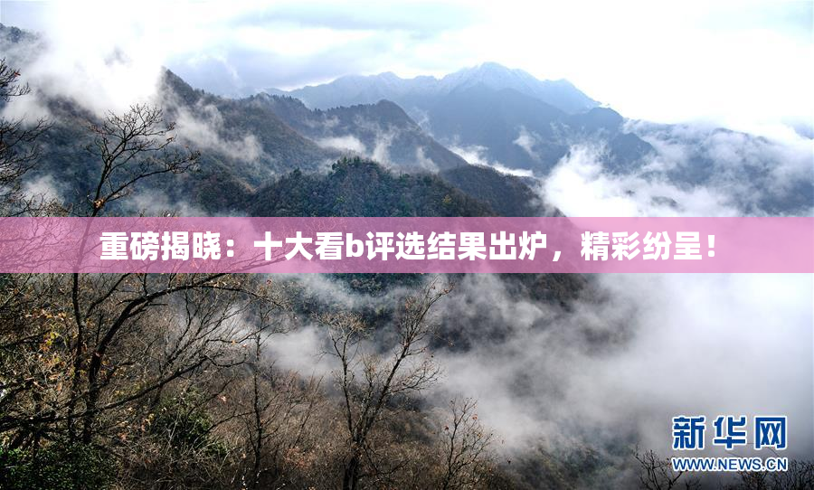 重磅揭晓：十大看b评选结果出炉，精彩纷呈！