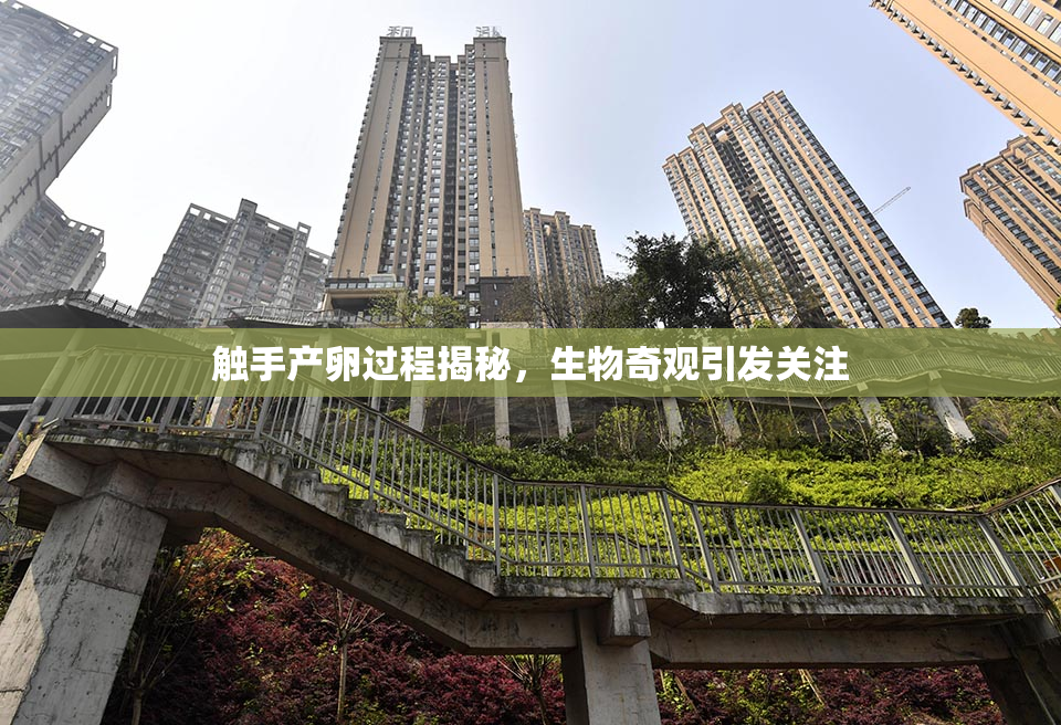 触手产卵过程揭秘，生物奇观引发关注