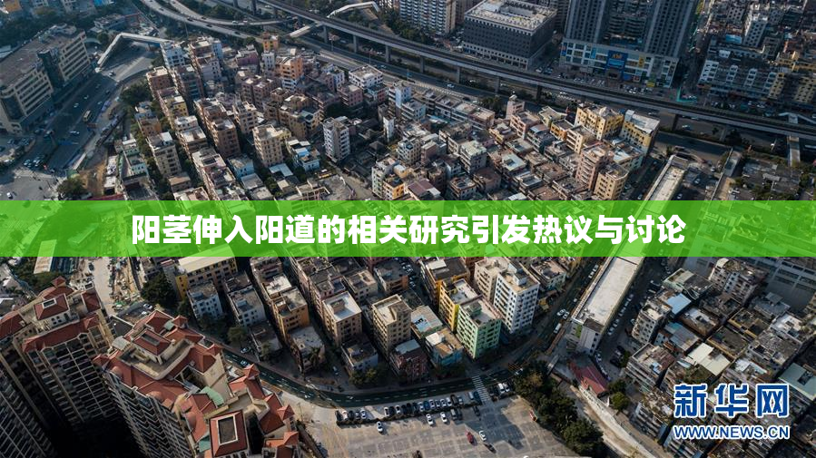 阳茎伸入阳道的相关研究引发热议与讨论