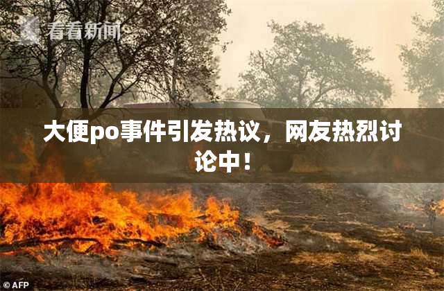 大便po事件引发热议，网友热烈讨论中！