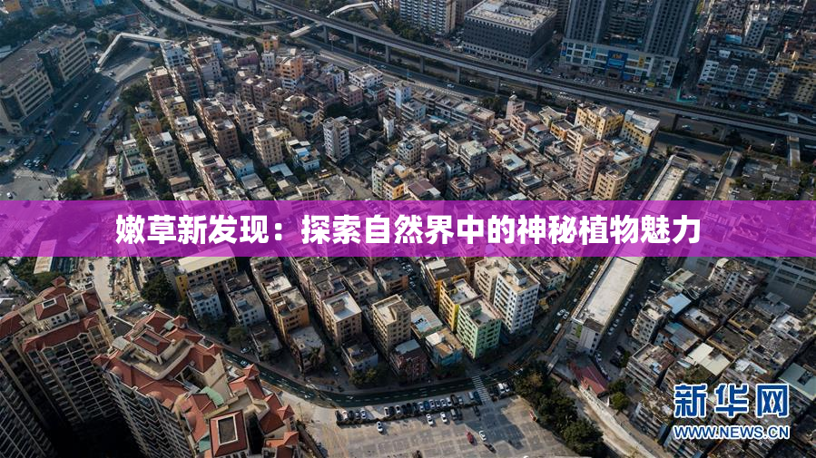 嫩草新发现：探索自然界中的神秘植物魅力