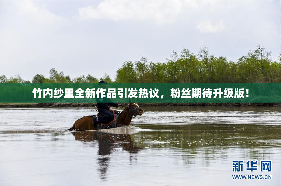 竹内纱里全新作品引发热议，粉丝期待升级版！