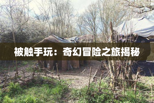 被触手玩：奇幻冒险之旅揭秘