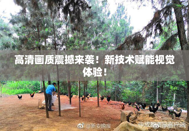 高清画质震撼来袭！新技术赋能视觉体验！