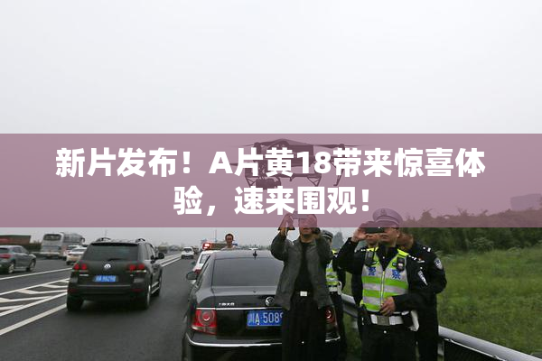 新片发布！A片黄18带来惊喜体验，速来围观！