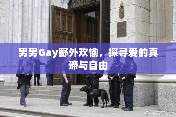 男男Gay野外欢愉，探寻爱的真谛与自由