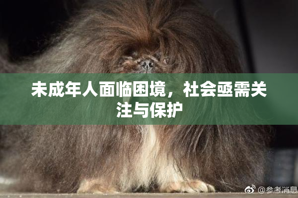 未成年人面临困境，社会亟需关注与保护
