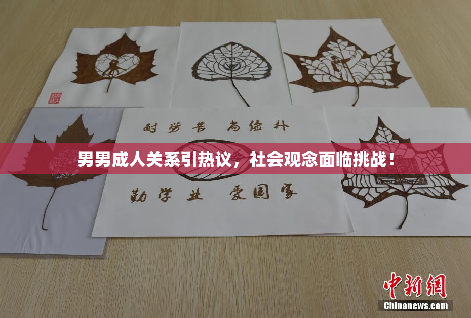 男男成人关系引热议，社会观念面临挑战！