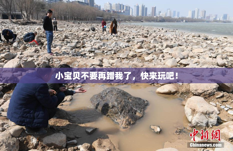 小宝贝不要再蹭我了，快来玩吧！