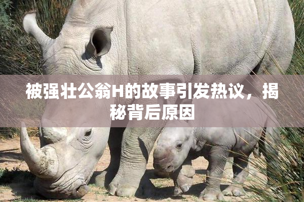 被强壮公翁H的故事引发热议，揭秘背后原因