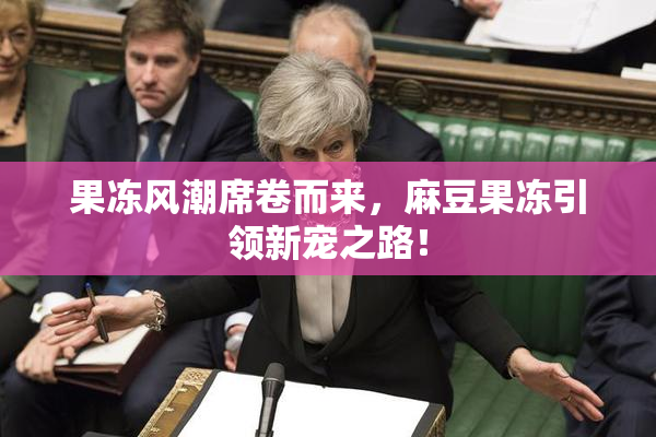 果冻风潮席卷而来，麻豆果冻引领新宠之路！