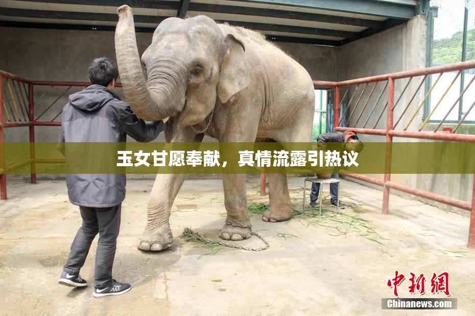 玉女甘愿奉献，真情流露引热议