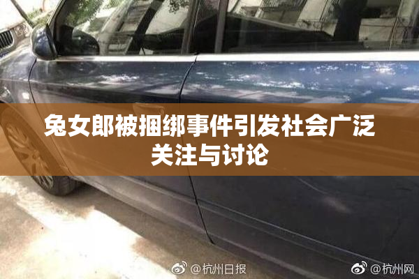 兔女郎被捆绑事件引发社会广泛关注与讨论
