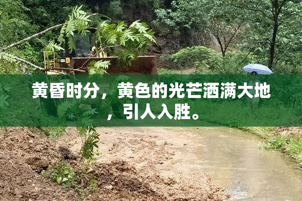 黄昏时分，黄色的光芒洒满大地，引人入胜。