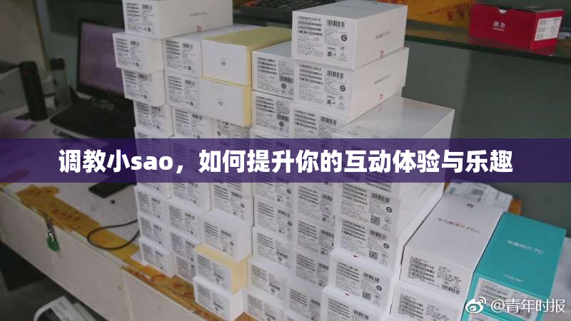 调教小sao，如何提升你的互动体验与乐趣
