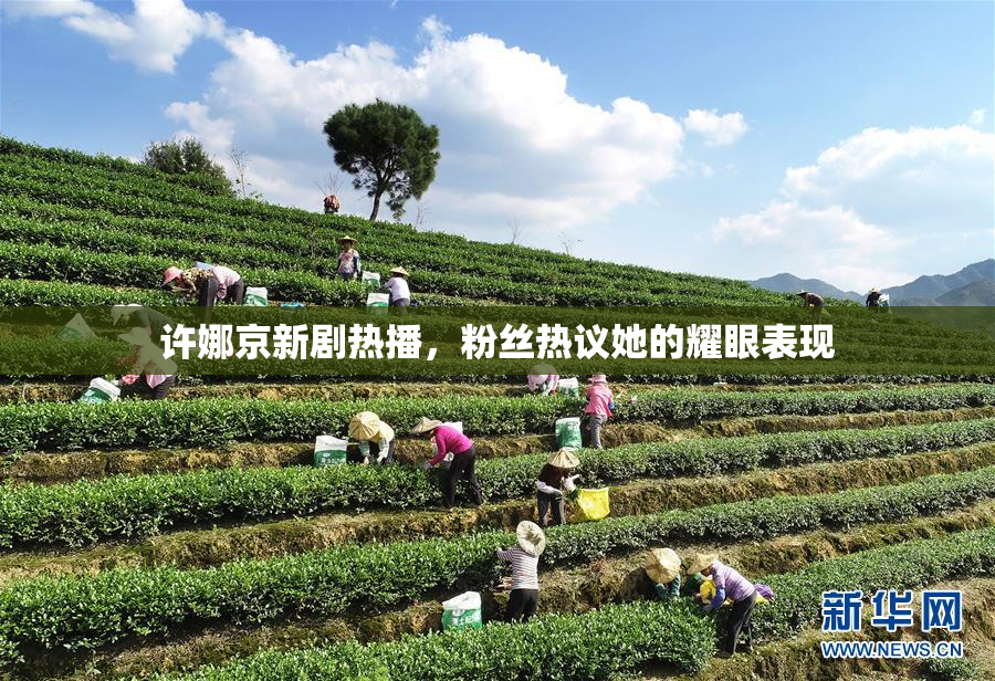 许娜京新剧热播，粉丝热议她的耀眼表现