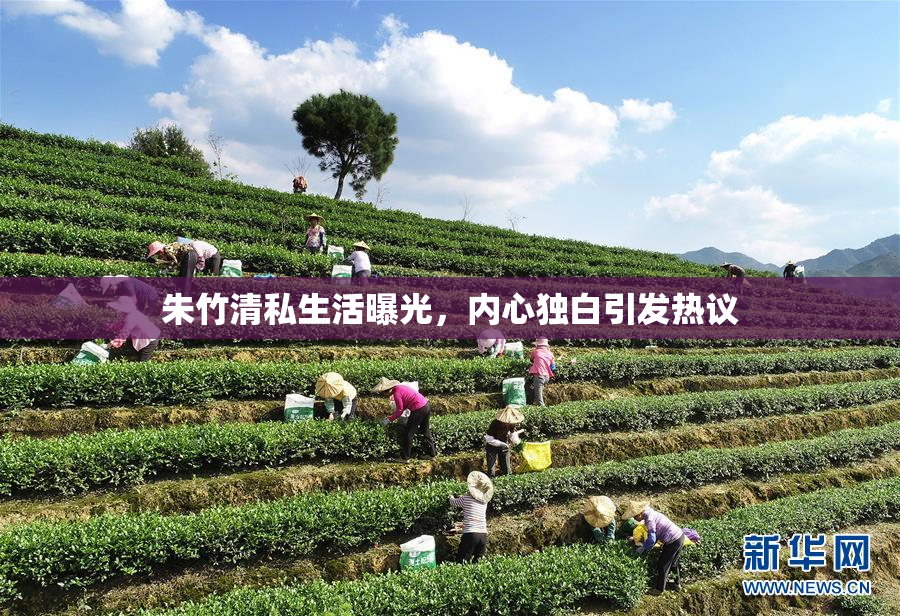 朱竹清私生活曝光，内心独白引发热议