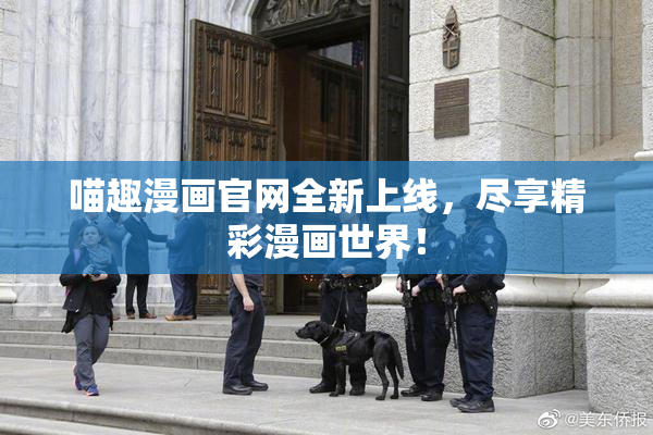 喵趣漫画官网全新上线，尽享精彩漫画世界！