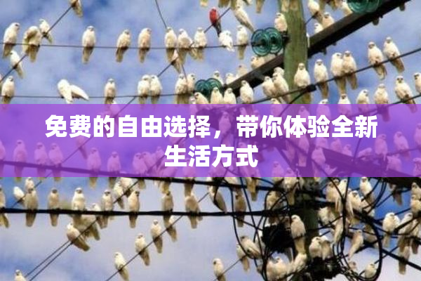 免费的自由选择，带你体验全新生活方式