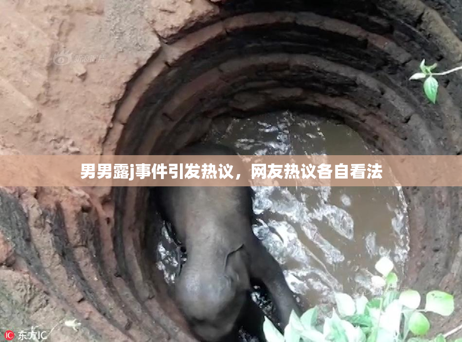 男男露j事件引发热议，网友热议各自看法