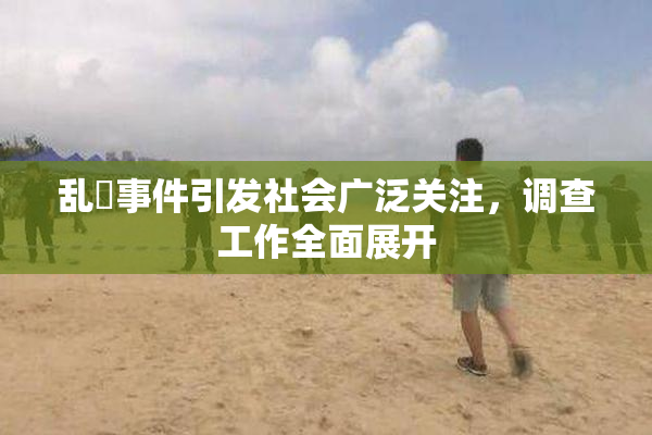 乱婬事件引发社会广泛关注，调查工作全面展开