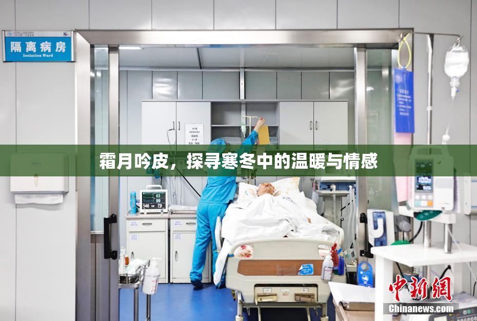 霜月吟皮，探寻寒冬中的温暖与情感