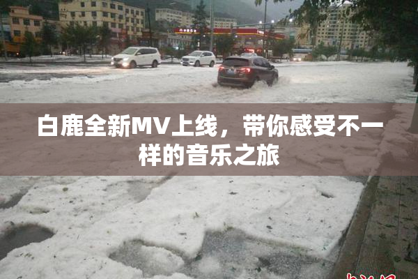 白鹿全新MV上线，带你感受不一样的音乐之旅