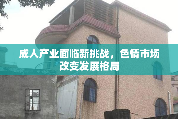 成人产业面临新挑战，色情市场改变发展格局