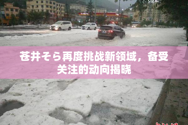 苍井そら再度挑战新领域，备受关注的动向揭晓