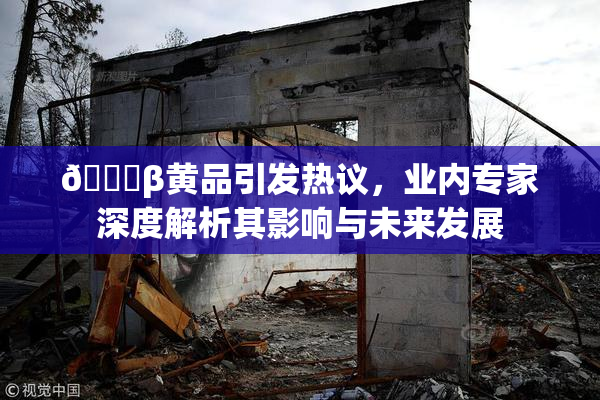 🔞β黄品引发热议，业内专家深度解析其影响与未来发展