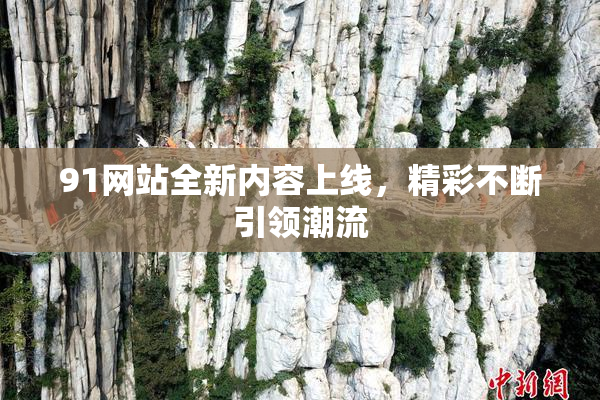 91网站全新内容上线，精彩不断引领潮流