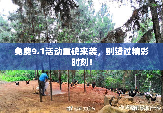 免费9.1活动重磅来袭，别错过精彩时刻！