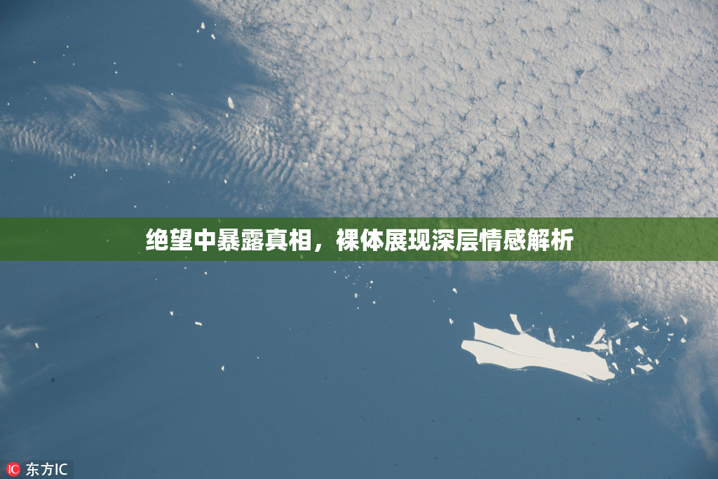 绝望中暴露真相，裸体展现深层情感解析