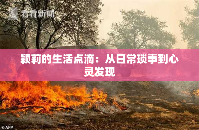 颖莉的生活点滴：从日常琐事到心灵发现