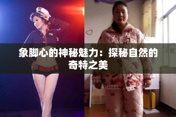 象脚心的神秘魅力：探秘自然的奇特之美