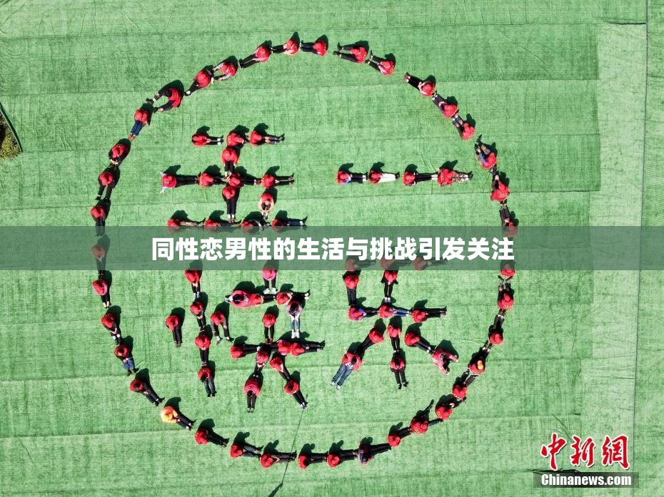 同性恋男性的生活与挑战引发关注